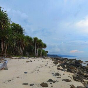 Daily News Reel - Great Nicobar is at Stake