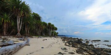 Daily News Reel - Great Nicobar is at Stake