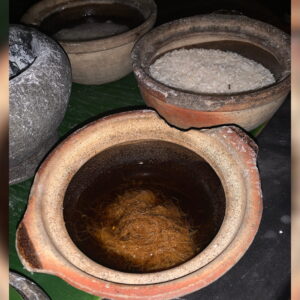 Daily News Reel - Handia - A New Horizon in Nutrition Feature.jpg