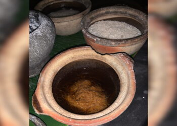 আদিবাসী সংস্কৃতির হাঁড়িয়া বদলে দিতে পারে অপুষ্টির কঠিন বাস্তবতা!