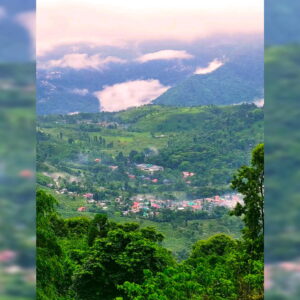 Daily News Reel - Ambootia of Kurseong Feature.jpg